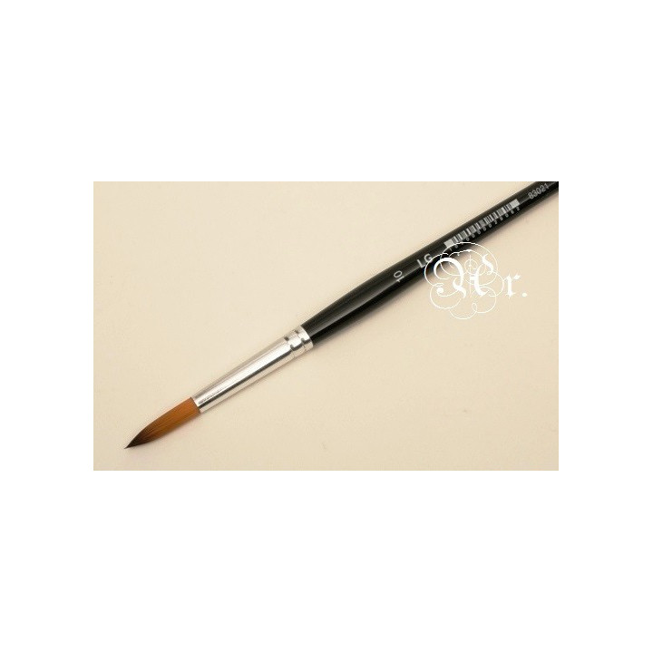 copy of 
